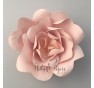 Rose in Carta _ Rosa Antico